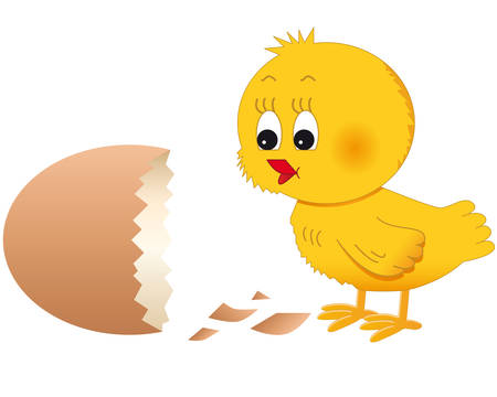 little chick and brocken eggのイラスト素材