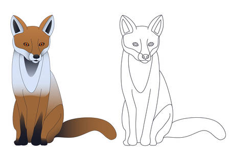 fox - vector illustrationのイラスト素材