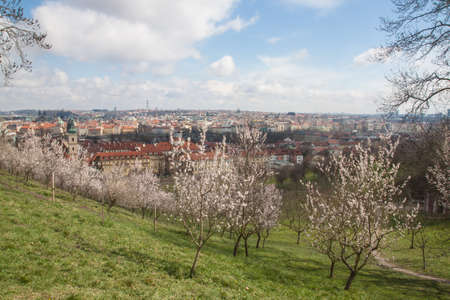 pragueの写真素材