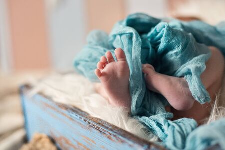 Feet of newborn childy under the green delicate blanketの写真素材