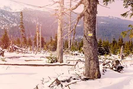 Markings and signs on the snowy mountain hiking trailsの写真素材