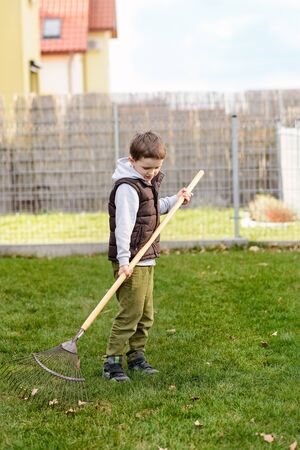 Boy helping in the garden. Rakes the grass. Spring gardeningの写真素材