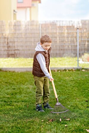 Small boy helping in the garden. Rakes the grass. Spring gardeningの写真素材