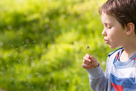 Children's Day.  Sweet little boy blowing dandelion in the parkの写真素材