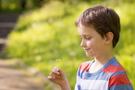 Children's Day.  Sweet little boy holding a daisy in the parkの写真素材