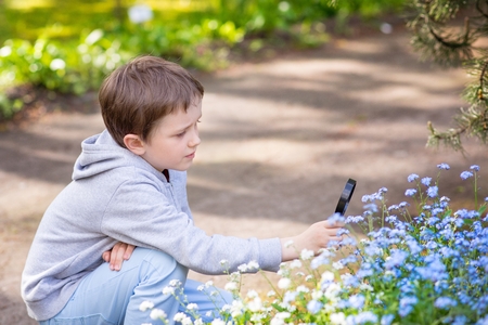 Little 7 years boy looking on the blue flowers through magnifying glassの写真素材