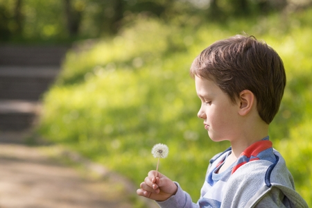 Children's Day.  Sweet little boy blowing dandelion in the parkの写真素材