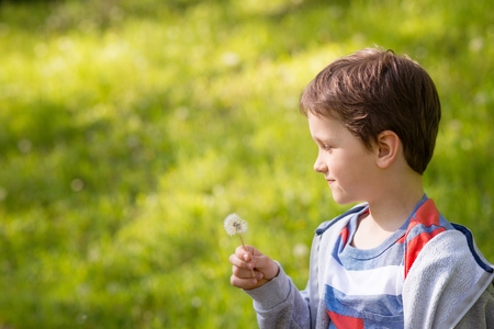 Children's Day.  Sweet little boy blowing dandelion in the parkの写真素材