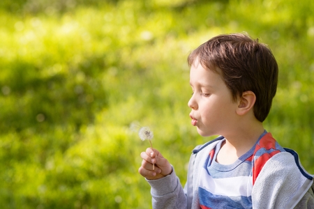 Children's Day.  Sweet little boy blowing dandelion in the parkの写真素材