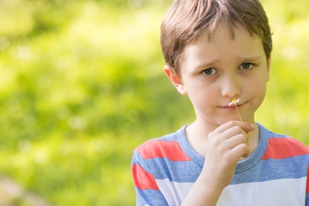Children's Day.  Sweet little boy smelling a daisy in the parkの写真素材