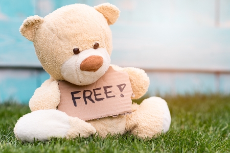 Little old teddy bear sitting on the grass in the garden and holding a piece of cardboard with the information - Free !の写真素材
