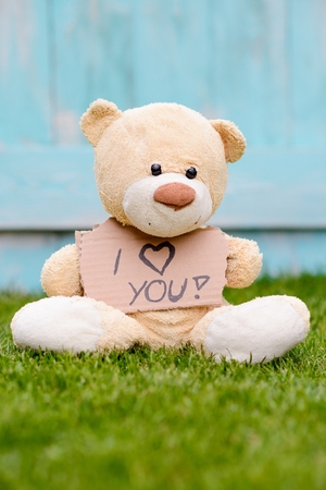 Little old teddy bear sitting on the grass in the garden and holding a piece of cardboard with the information - I love youの写真素材