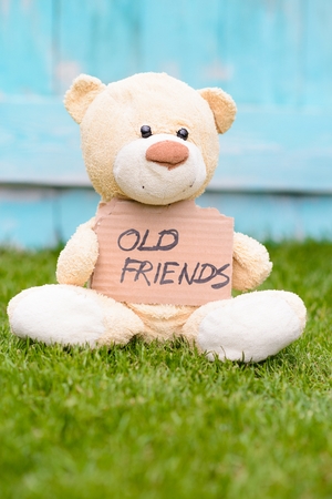 Little old teddy bear sitting on the grass in the garden and holding a piece of cardboard with the information - Old Friendsの写真素材