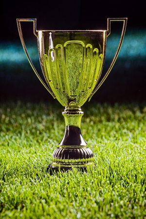 Shiny metal cup - first prize for championの写真素材