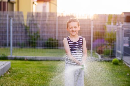 Little boy child watering grass in garden. Summer gardeningの写真素材