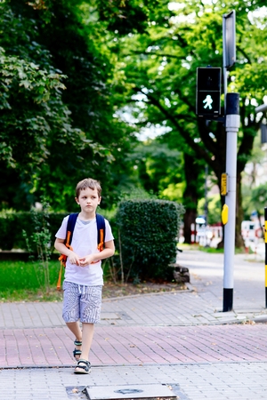 Little 7 years schoolboy crossing road on green light. Dressed in white t shirt and shorts. Blue backpackの写真素材