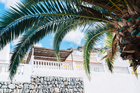 Tropical resort. Palm and hotel terrace. Tenerife. Canary Islandsの写真素材
