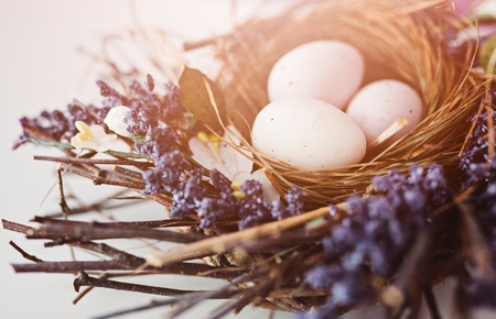 Easter eggs in nest on white background. Happy Easterの写真素材