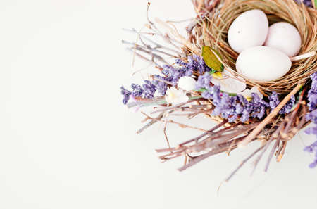 Easter eggs in nest on white background. Happy Easter !の写真素材