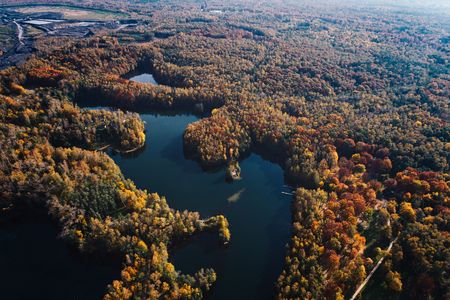 Aerial drone view on beautiful autumn forest and lakeの写真素材