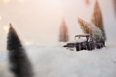 Black miniature car carrying Christmas tree. Christmas cardの写真素材