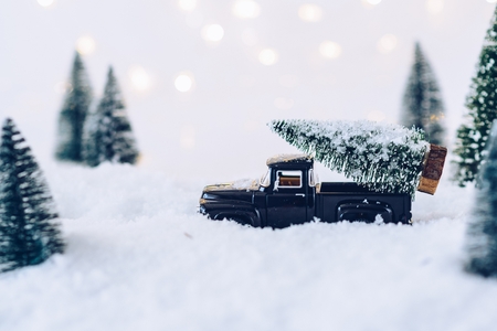 Black toy car carrying Christmas tree. Christmas cardの写真素材