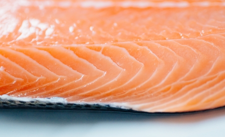 Close up on raw fresh salmon filetの写真素材