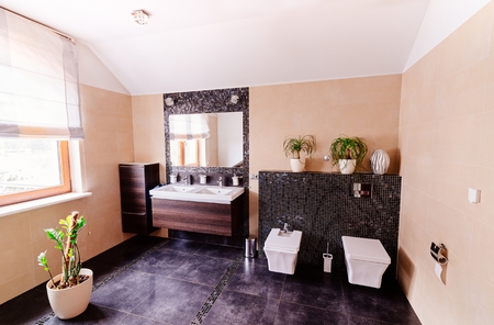 Modern restroom with washbasin, bidet and lavatoryの写真素材