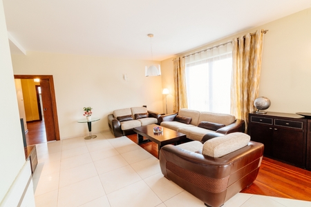 Elegant comfortable living room with sofa and armchairsの写真素材