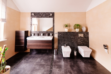 Modern restroom with washbasin, bidet and lavatoryの写真素材