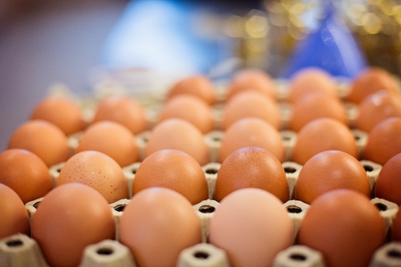 Brown raw chicken eggs in cardboard paper trayの写真素材