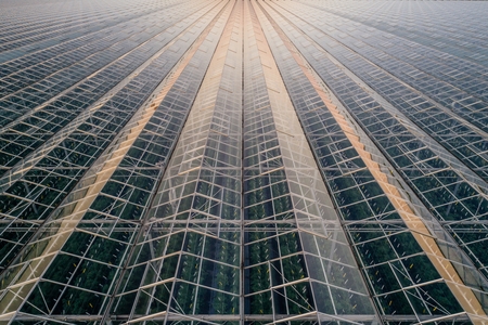 Aerial view on large modern glass houses on farmの写真素材