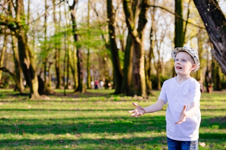 Child boy catching ball on green grass in park. Happy family in the parkの写真素材