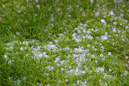 Ice hail balls after heavy summer stormの写真素材