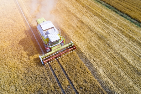 Drone view of harvester combine working on field. Summer harvest. Farm worksの写真素材