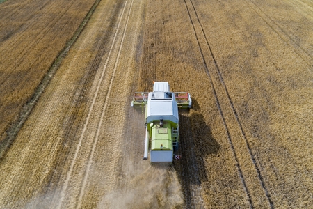 Aerial drone view of harvester combine working on field. Summer harvest. Farm worksの写真素材