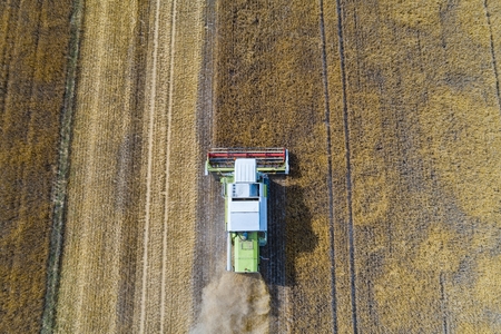 Aerial drone view of harvester combine working on field. Summer harvest. Farm worksの写真素材