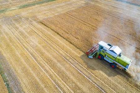 Aerial view of harvester combine working on field. Summer harvest. Farm worksの写真素材