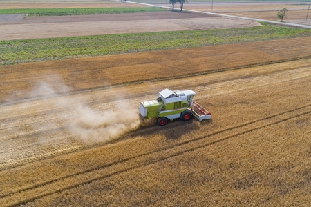 Aerial drone view of harvester combine working on field. Summer harvest. Farm worksの写真素材