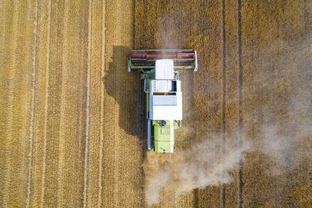 Aerial view of harvester combine working on field. Summer harvest. Farm worksの写真素材
