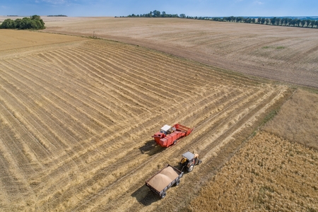 Aerial drone view of harvester combine working on field. Summer harvest. Farm worksの写真素材