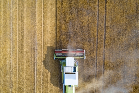 Aerial view of harvester combine working on field. Summer harvest. Farm worksの写真素材