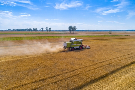 Drone view of harvester combine working on field. Summer harvest. Farm worksの写真素材