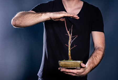 Man holding japanese bonsai tree. Environment conservation concept