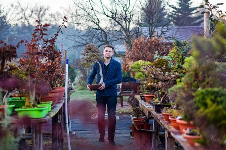Man with asian bonsai tree. Small business conceptの写真素材