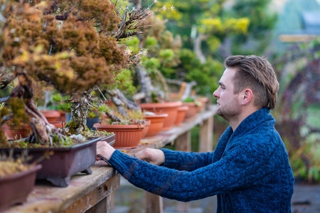Young man with asian bonsai tree. Small business conceptの写真素材