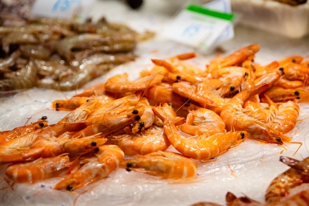 Raw fresh seafood langoustines on display in fish marketの写真素材