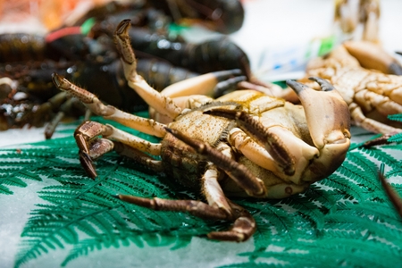Fresh seafood crab on display in fish marketの写真素材