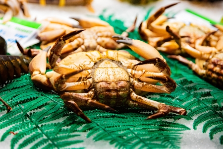 Fresh seafood crab on display in fish marketの写真素材