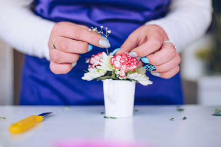 The florist hands creates a composition of flowers in a small white pot.の写真素材
